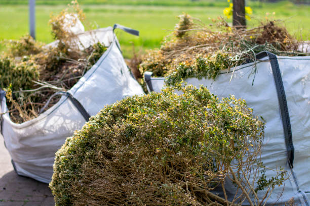 Recycling Services for Junk in Dolton, IL